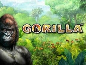 melhor slot para ganhar dinheiro
